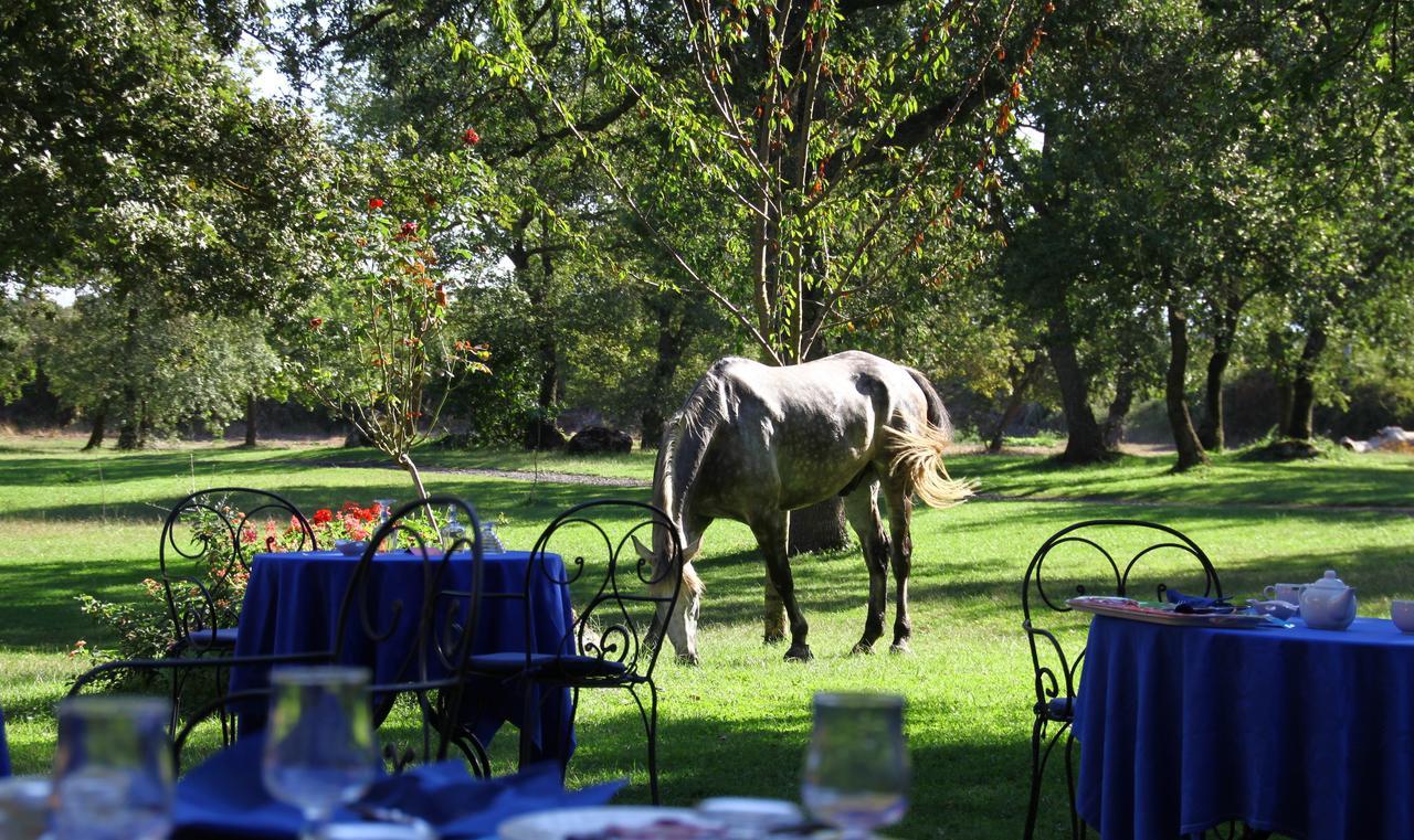 Country Hotel Mandra Edera Abbasanta Luaran gambar